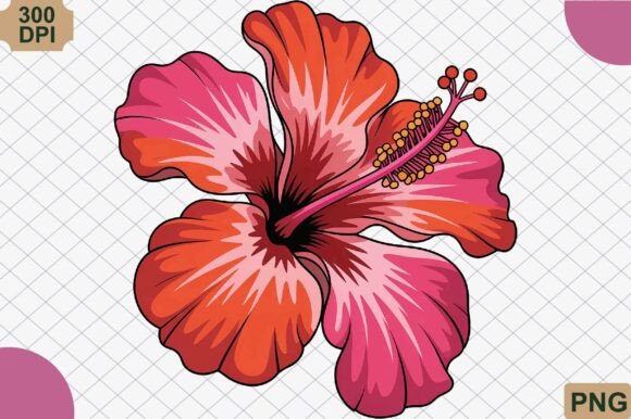 Download Hibiscus Flower, Summer PNG - Summer png Collection